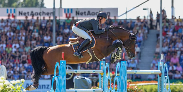 Harrie Smolders’ Uricas v/d Kattevennen to Callie Schott