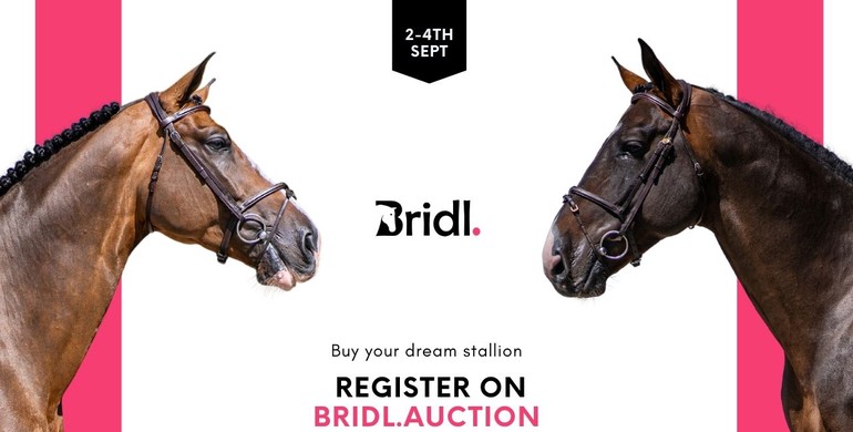 Bridl's top 2 stallions: Nothing Els Matters EBH & Mick Jagger