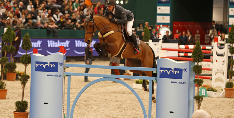 Quismy des Vaux HDC injured at the stables during the CSIO5* St Gallen