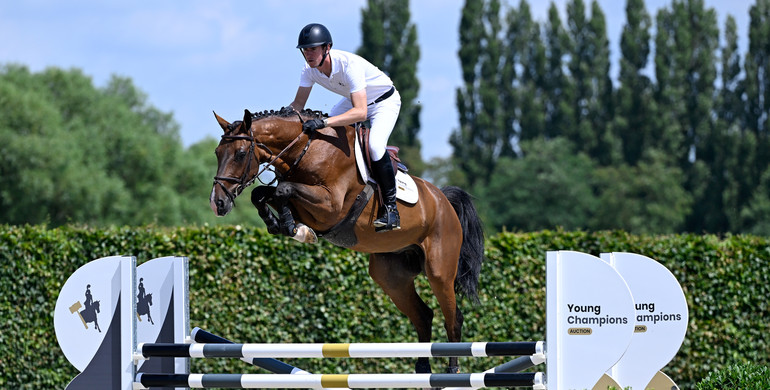 Young Champions Auction is back for its second edition, featuring young talented horses!