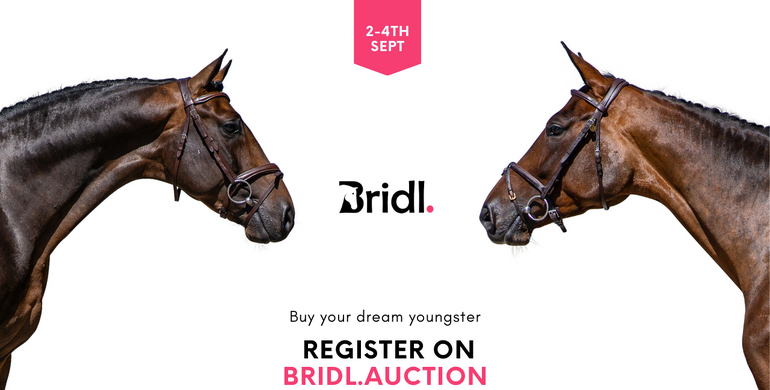 Two top showjumpers: Limited-time sale in our deal-room