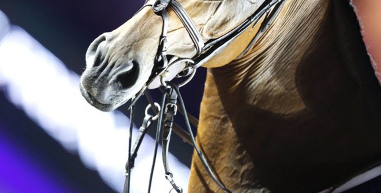 Scott Brash sets the bar high for Grand Prix day in Cannes