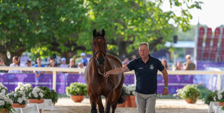 Second horse inspection sees 24 horses fit to compete in Milan