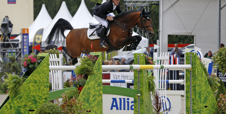 Comme il faut, Romanov and Singular LS La Silla approved by KWPN