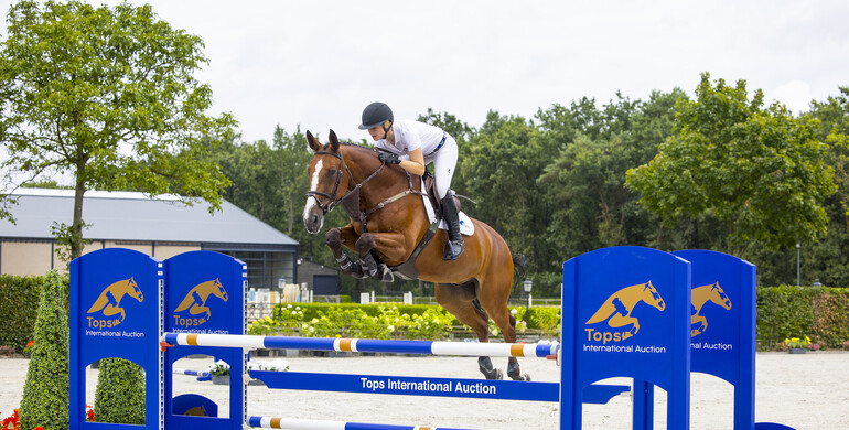 Championship bloodlines at Tops International Auction