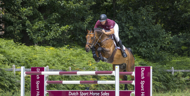 Champions and future champions form the Dutch Sport Horse Sales collection