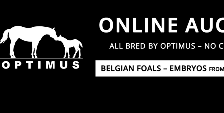 Sisters of Zanotelli’s CSI5* GP winner offered on Stal Optimus Auction