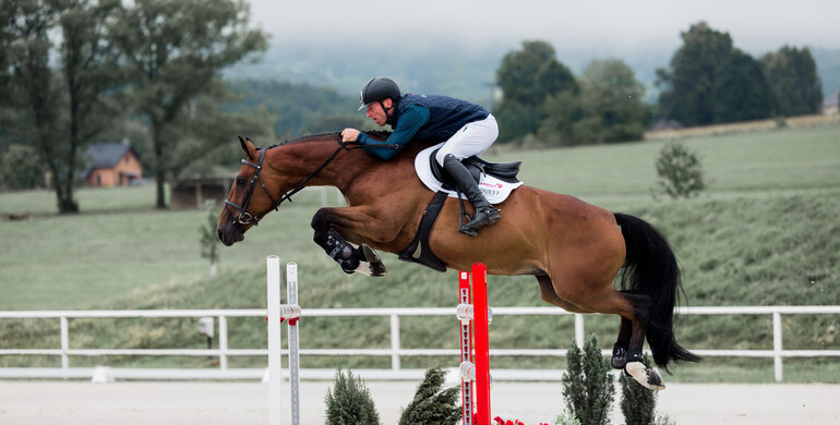 Equest Auction: Authentic Grand Prix prospects, jumpers for ambitious amateurs, as well as exclusive and rare embryos