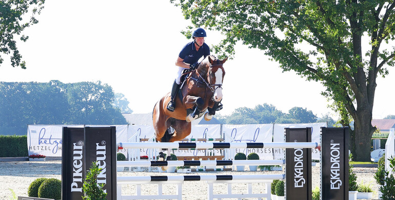 Holger Hetzel Sport Horse Sales presents: Angel Eyes