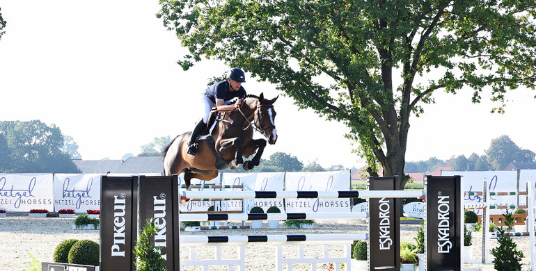 Holger Hetzel Sport Horse Sales presents: Crazy in Love