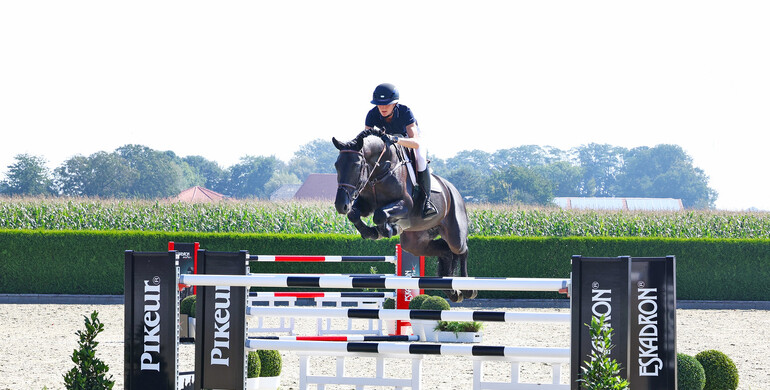 Holger Hetzel Sport Horse Sales presents: Man in Black
