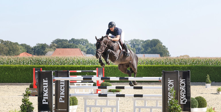 Holger Hetzel Sport Horse Sales presents: Perfetto