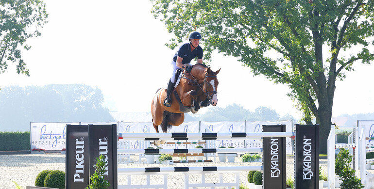 Holger Hetzel Sport Horse Sales presents: Ti Amo