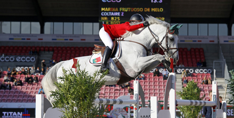 Coltaire Z put down after fall