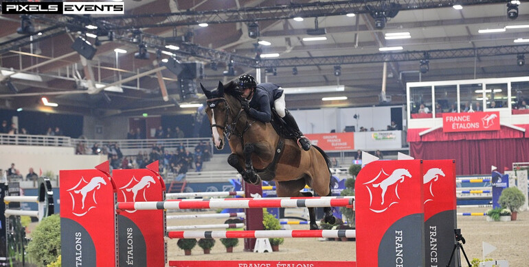 Julien Anquetin and Blood Diamond du Pont best in Thursday's CSI4* 1.50m Prix France Etalons in Saint-Lô