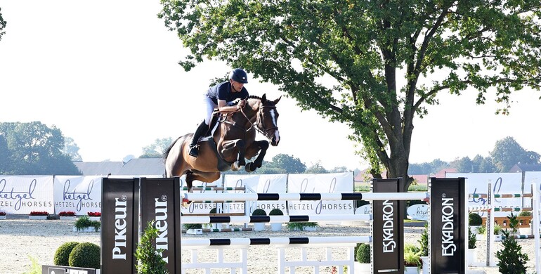 Holger Hetzel’s 18th International Sport Horse Sales: The horses are online!