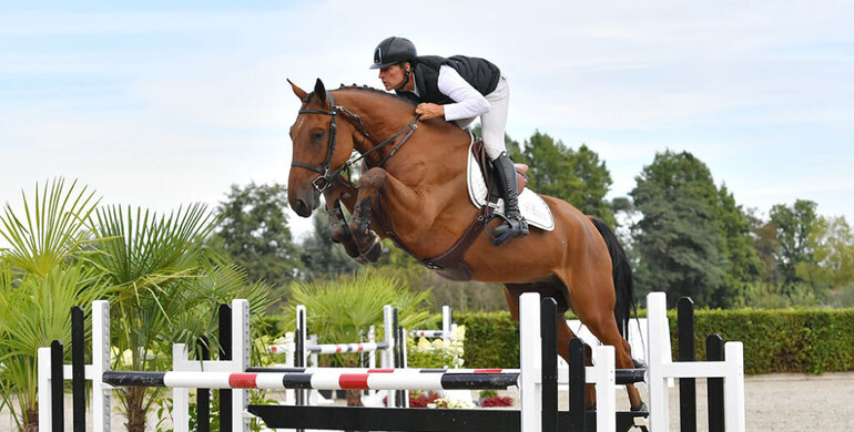 “Every horse or embryo… we 200% believe in!” Champions of Tomorrow countdown is on!