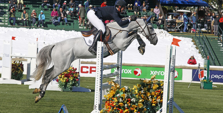 HH Dark de la Hart injured during the derby at Spruce Meadows