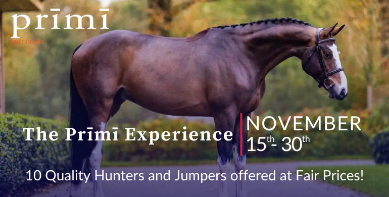 Equestrian revolution: Fair prices, unparalleled quality at Prīmī's 3rd edition!