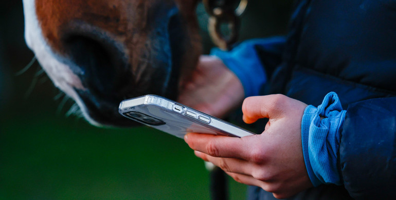 The FEI Tack App – Keeping up with what is allowed