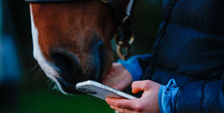 Proposed FEI rule changes to be voted on this week - Hong Kong hosts FEI General Assembly 2025
