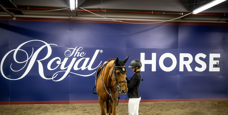Highlights from Toronto Royal Horse Show, part one