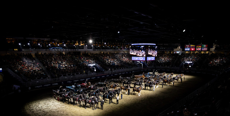 Highlights from Toronto Royal Horse Show, part two