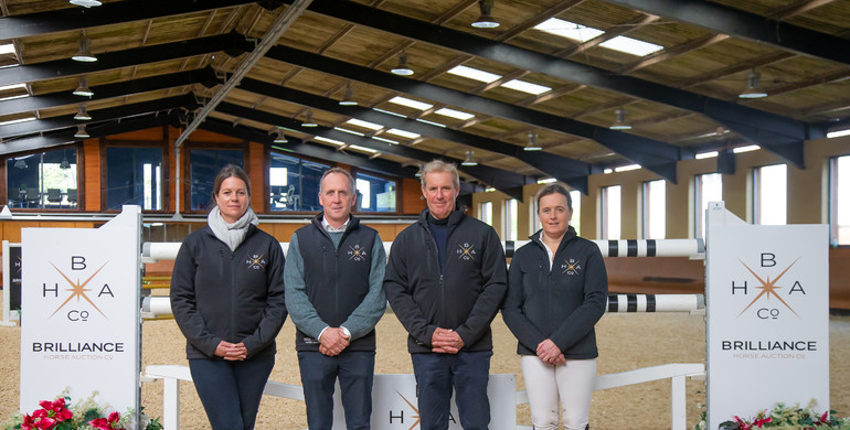 The Brilliance Horse Auction Company – Presented by The Billy Stud and Breen Equestrian LTD