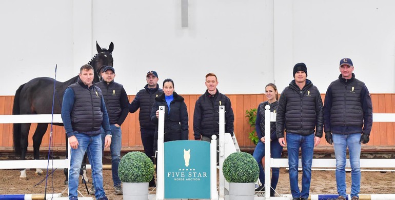 Elevate your riding experience: Unveiling Five Star Horse Auction's exclusive sporthorse collection