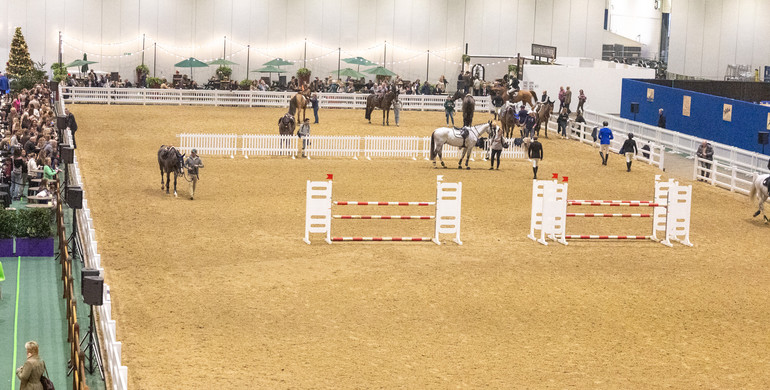 FEI introduces Key Event Requirements from 1 January 2024