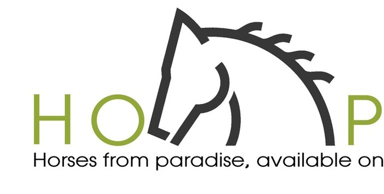 Advertisement; HOPA presents young horses auction - horses  with good performances and three approved stallions in one auction