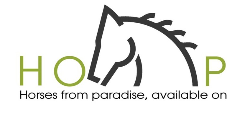 Advertisement; Part I of the online auction of CONSTANT VAN PAESSCHEN's top horses open