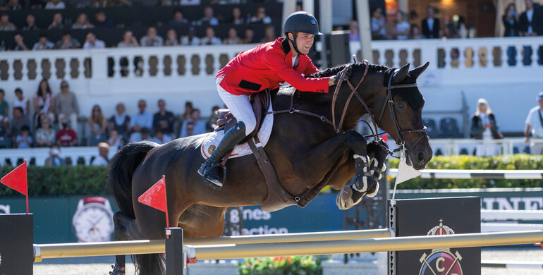 Saturday: Flanders Embryo Auction in the Emirates