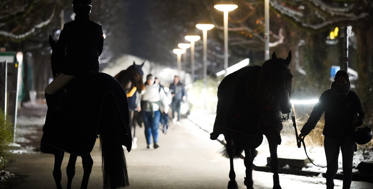 Study finds 58.5% of 1389 grooms fail to see relevance of FEI initiatives aimed at improving career recognition and working conditions