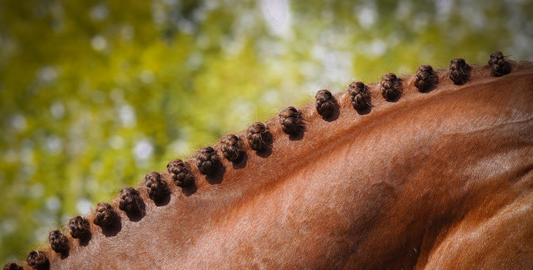 This weekend's three- and two-star Grand Prix winners