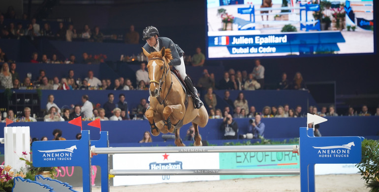 Julien Epaillard and Dubai du Cedre unbeatable in the CSI5*-W 1.60m Anemone Horse Trucks Grand Prix of Amsterdam powered by Stoeterij Sterrehof