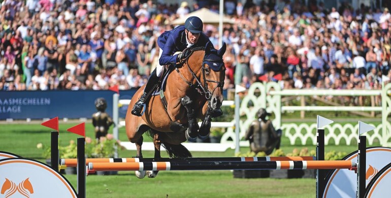 Flanders Embryo Auction on Saturday: One more blast before foals will be born