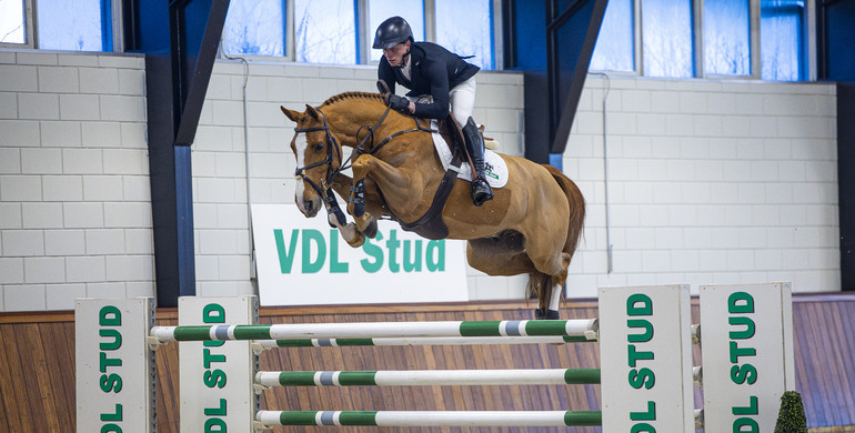 A formula for success: WEF Sport Horse Auction presents collection for its 12th edition