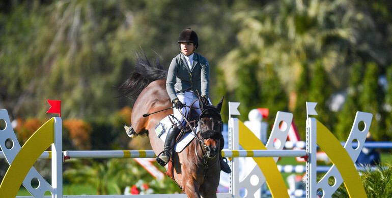 Megan McDermott makes a memory in $32,000 Barnwalkers CSI3* 1.50m Speed