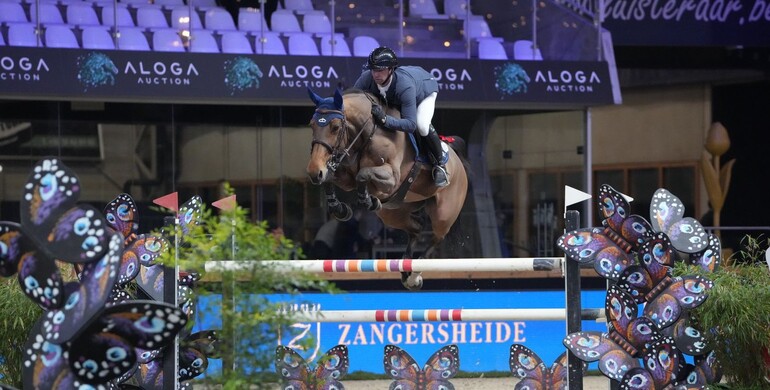 Ahlmann and Anquetin on top at Zangersheide International