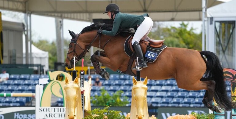 Cathleen Driscoll and Flotylla win the CSI5* $62,500 Bainbridge 1.50m at Wellington International