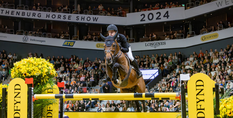 Willem Greve and Highway TN N.O.P. spoil a Swedish party in the CSI5*-W 1.55m Gothenburg Trophy presented by Guldfynd