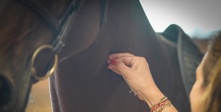 FEI Equine Prohibited Substances List Group proposes changes to the EPSL