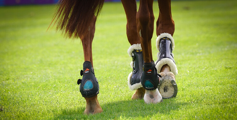 Updates to the FEI Tack App to be temporarily paused from after 8 April 2024