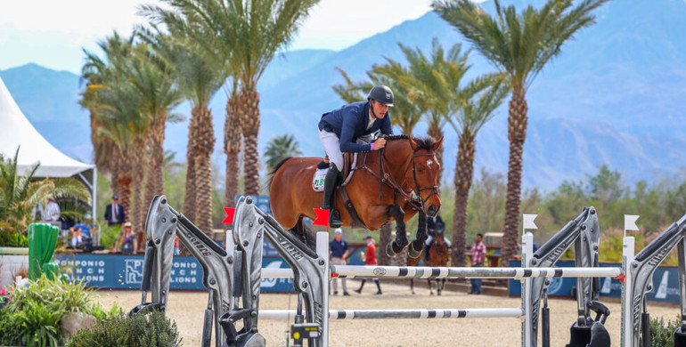 Gregory Wathelet continues his winning ways with Kristalic in $32,000 CSI4* 1.45m Classic