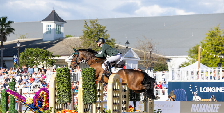 Legacy wins Romain Rotty the 2024 Longines WBFSH Jumping Breeder Award