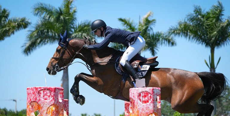 Linguini de la Pomme back to winning ways for Philip McGuane in $32,000 ProElite CSI3* 1.45m Speed