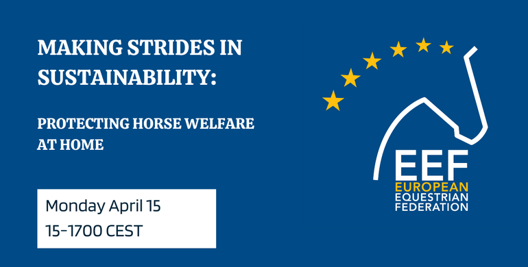 EEF webinar: Protecting horse welfare at home