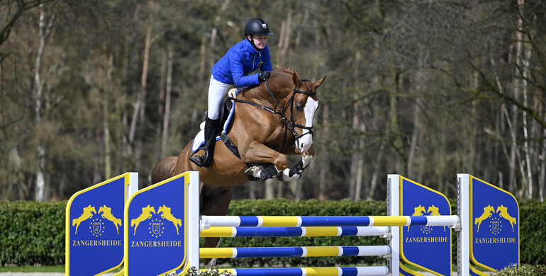 Bidding has started! Zangersheide presents another top-class selection of young horses in their upcoming Online Auction from 20 – 23 April!