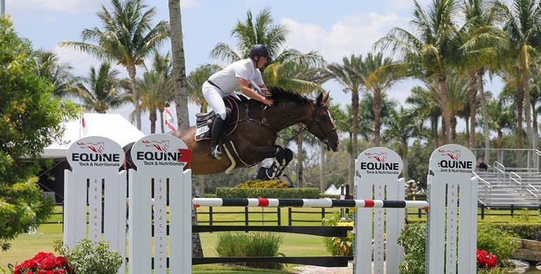 Jordan Coyle and Costa Diam back on form in Equine Tack & Nutritionals CSI3* Speed